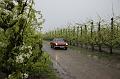MG Bloesemrit op 24-4-2016 org. Jos&Marie-lou  (108)